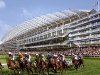 ascot-image-1