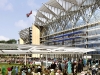 ascot-image-2