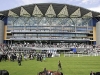 ascot-image-4