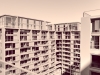 kensington-image-8