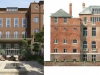 glebe image-1
